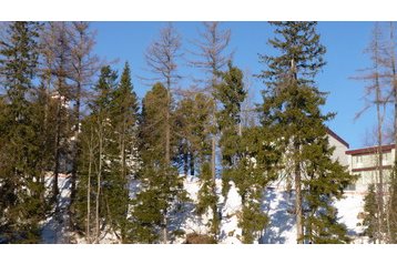 Slovačka Byt Štrbské Pleso, Eksterijer